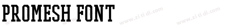 Promesh Font字体转换